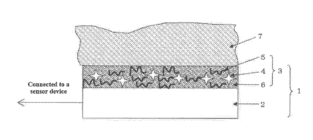 Adhesive composition, bio-electrode, and method for manufacturing a bio-electrode