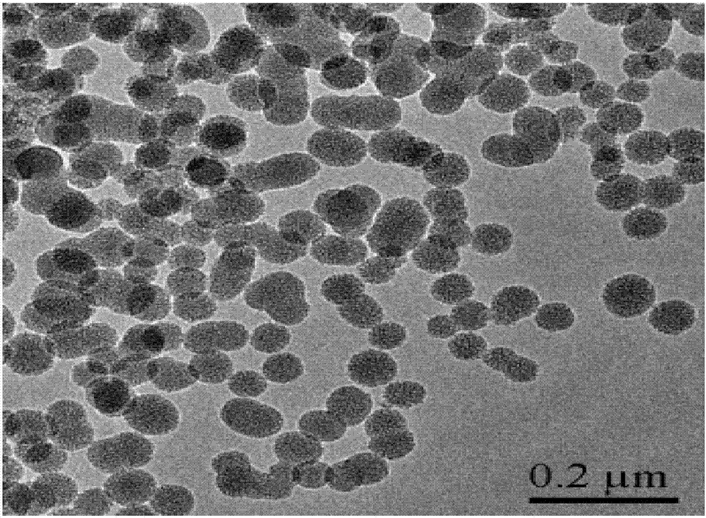 Preparation and application of carboxyl-modified mesoporous silicon dioxide nanoparticles with reduction response