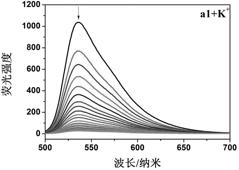Ruthenium polypyridine complex and preparation method and application of [Ru(L)2(tppp)]&lt;2+&gt; thereof