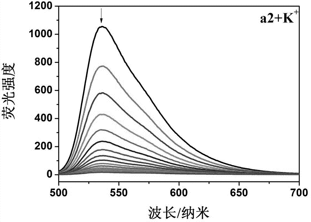 Ruthenium polypyridine complex and preparation method and application of [Ru(L)2(tppp)]&lt;2+&gt; thereof