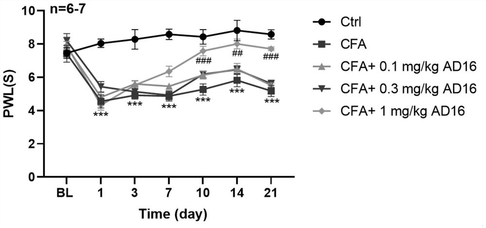 Application of AD16 in preparation of medicine for relieving chronic inflammatory pain
