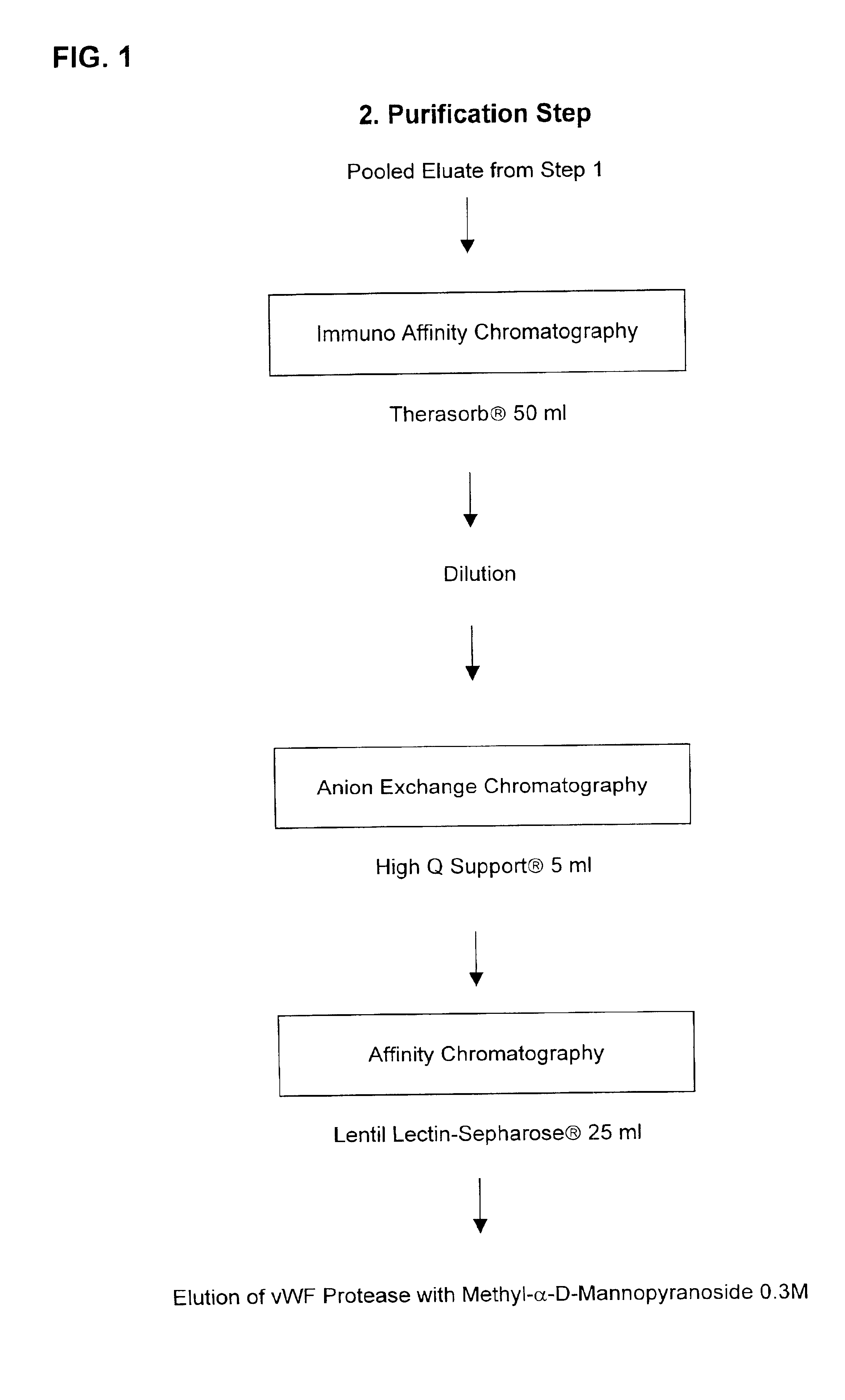 Composition exhibiting a von willebrand factor (vWF) protease activity comprising a polypeptide chain with the amino acid sequence AAGGILHLELLV