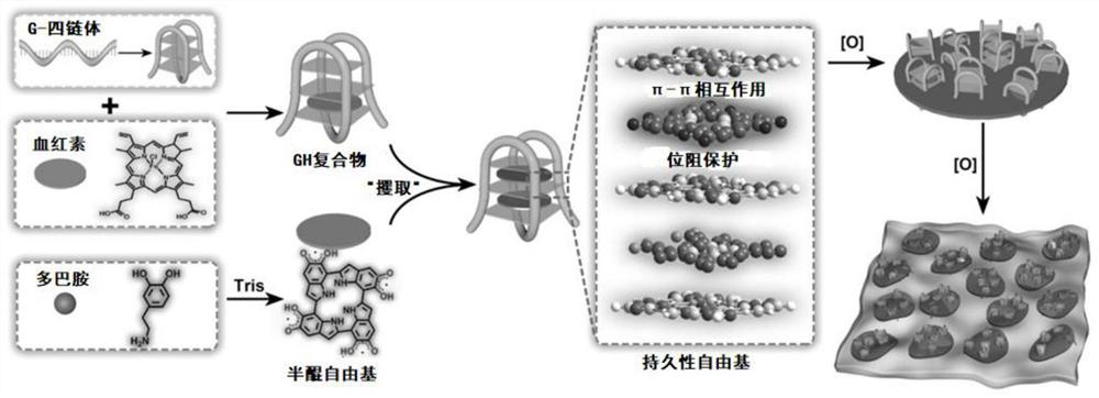 Novel semi-quinone free radical nanometer material and preparation method and application thereof