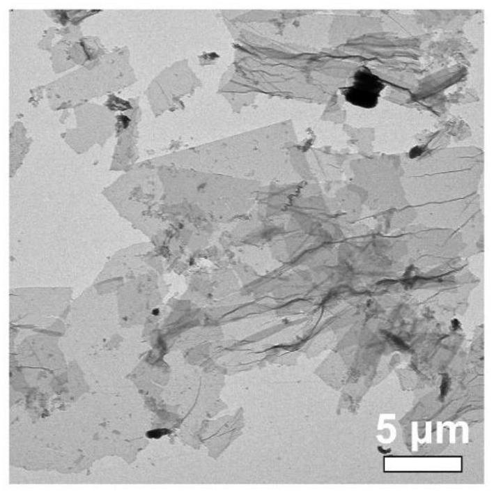 Novel semi-quinone free radical nanometer material and preparation method and application thereof