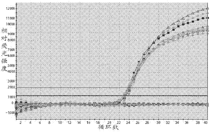 Hepatitis B virus genotyping PCR (polymerase chain reaction) test kit