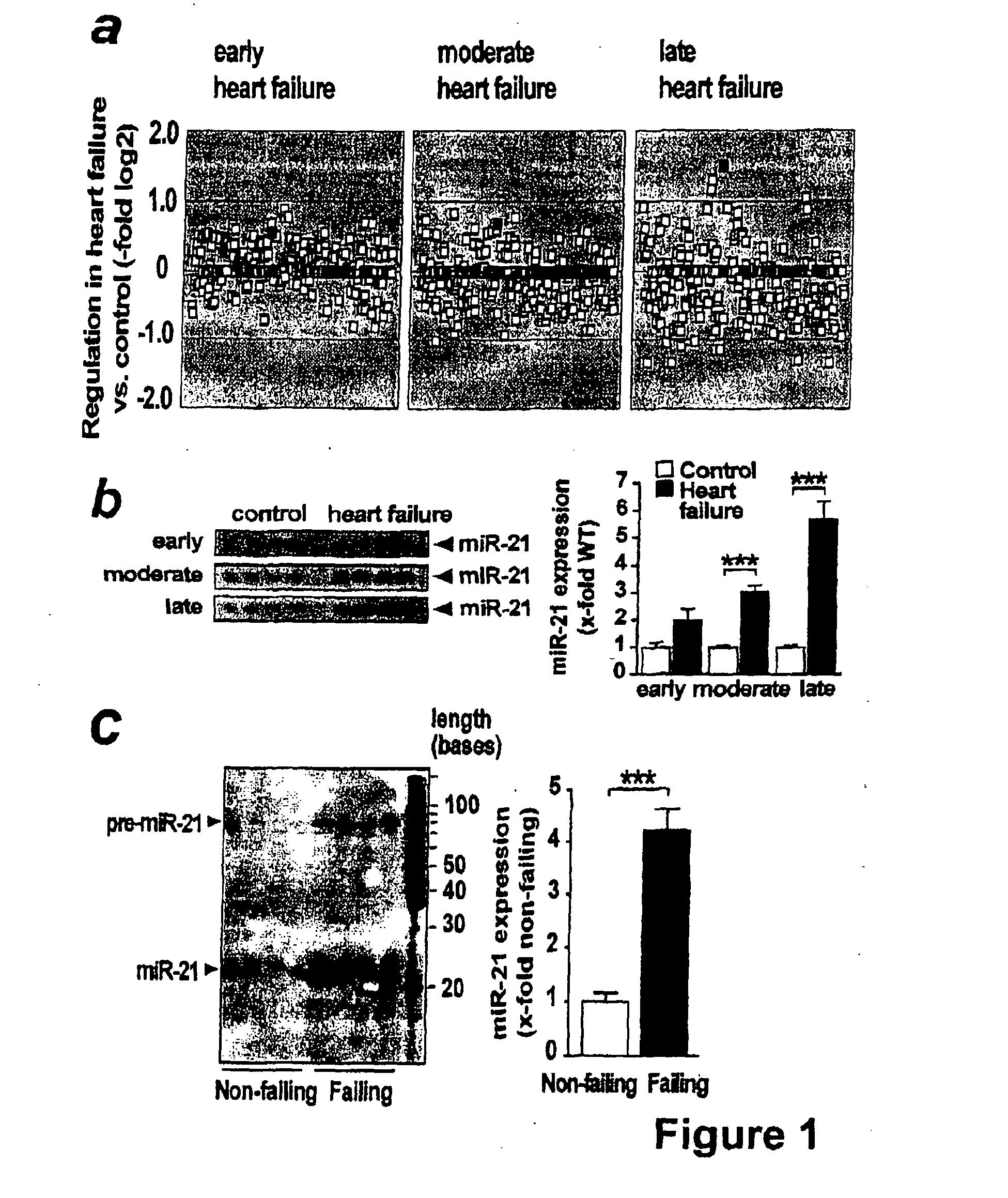 MICRORNA (miRNA) AND DOWNSTREAM TARGETS FOR DIAGNOSTIC AND THERAPEUTIC PURPOSES