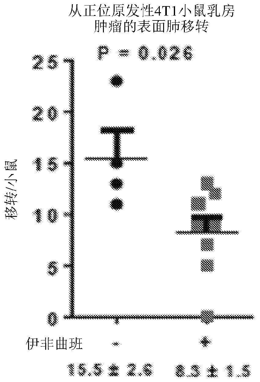 Methods of inhibiting tumor metastasis