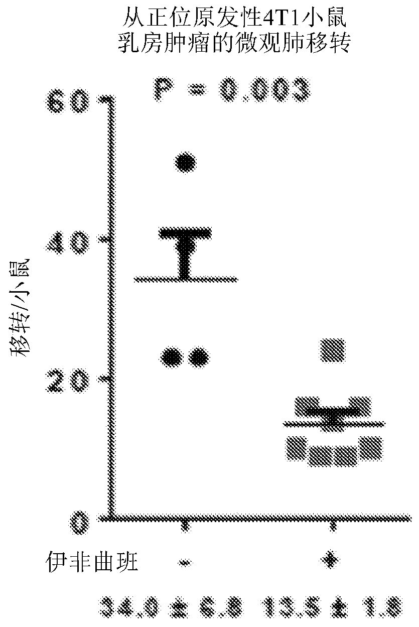 Methods of inhibiting tumor metastasis