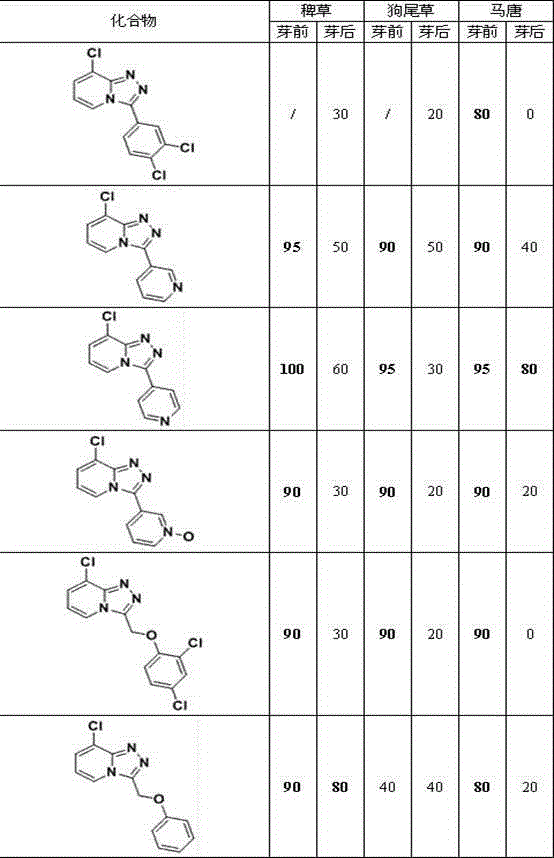 Application of triazol pyridine derivative in preparing monocotyledon-resistant pesticide
