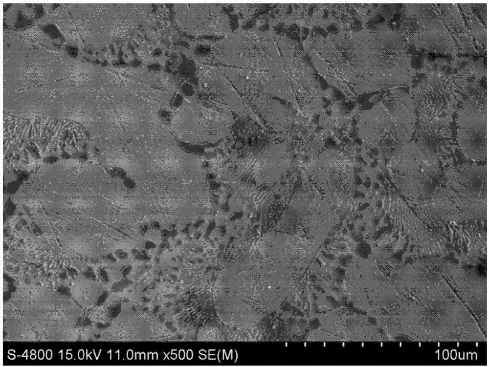 Zinc base alloy and preparation method thereof