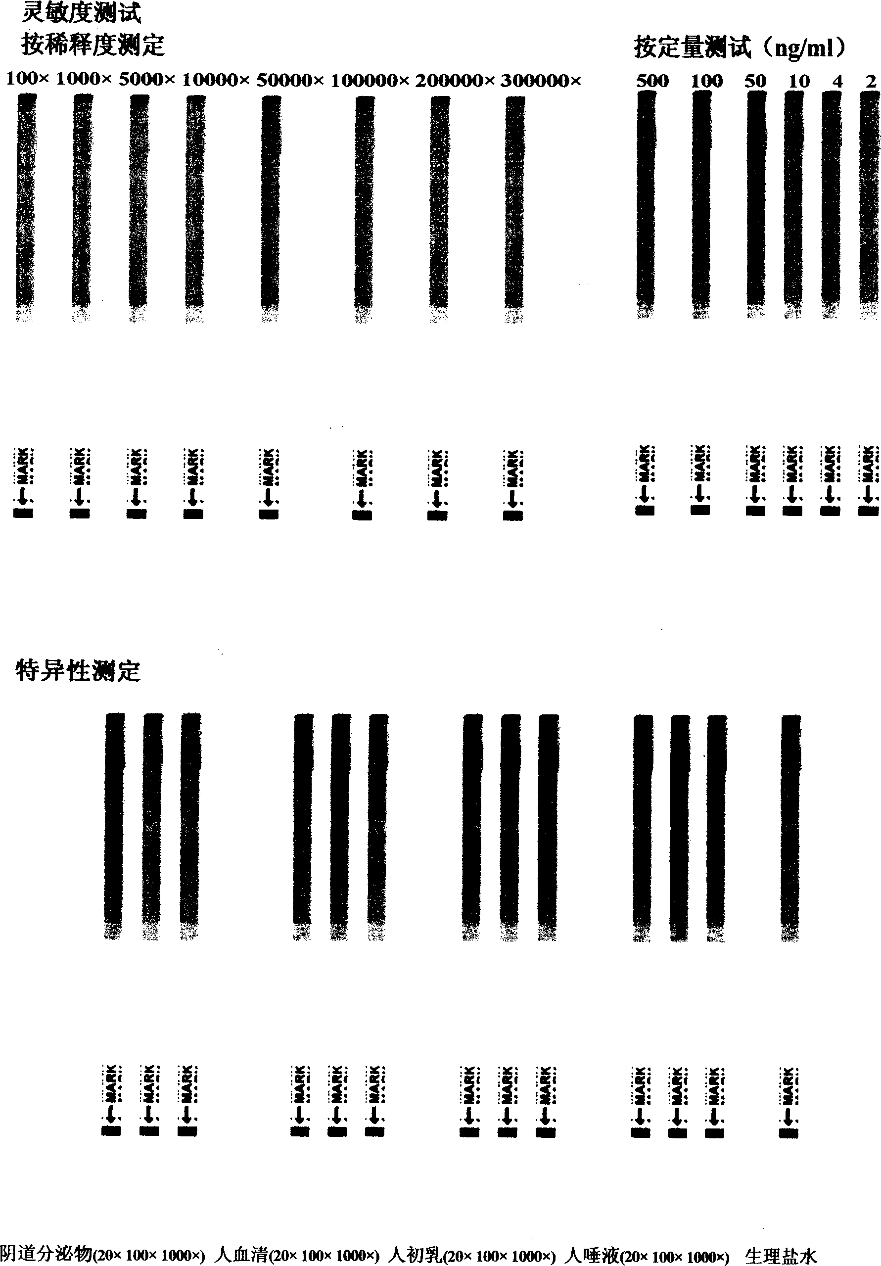 Antihuman seminal specific protein P30 detection reagent strips and monoclone antibody therewith