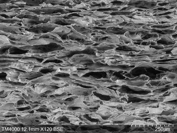 A tissue-guided regeneration collagen film and its preparation method