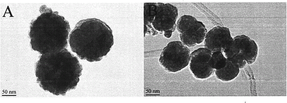 Preparation method of mixed hemi-micelle solid phase extractant based on magnetic carbon nanotubes