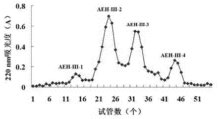 Sepia esculenta protein antioxidant peptide, and preparation method and use thereof