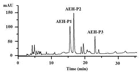 Sepia esculenta protein antioxidant peptide, and preparation method and use thereof