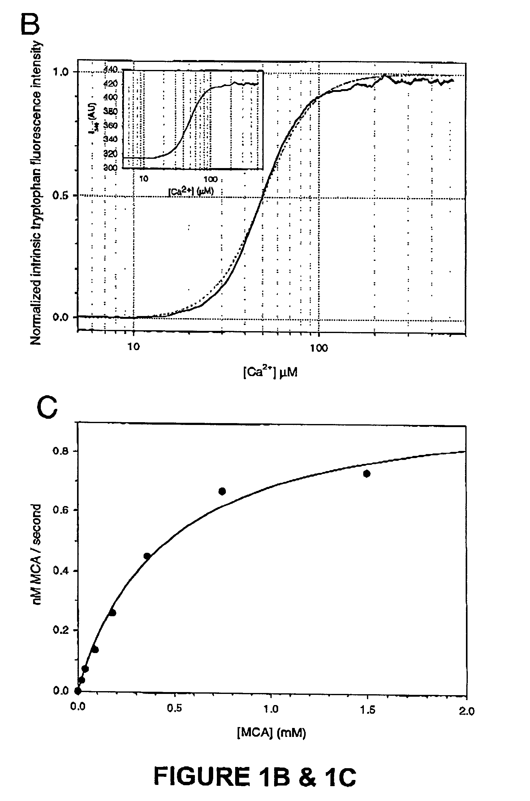 Methods of determining polypeptide structure and function