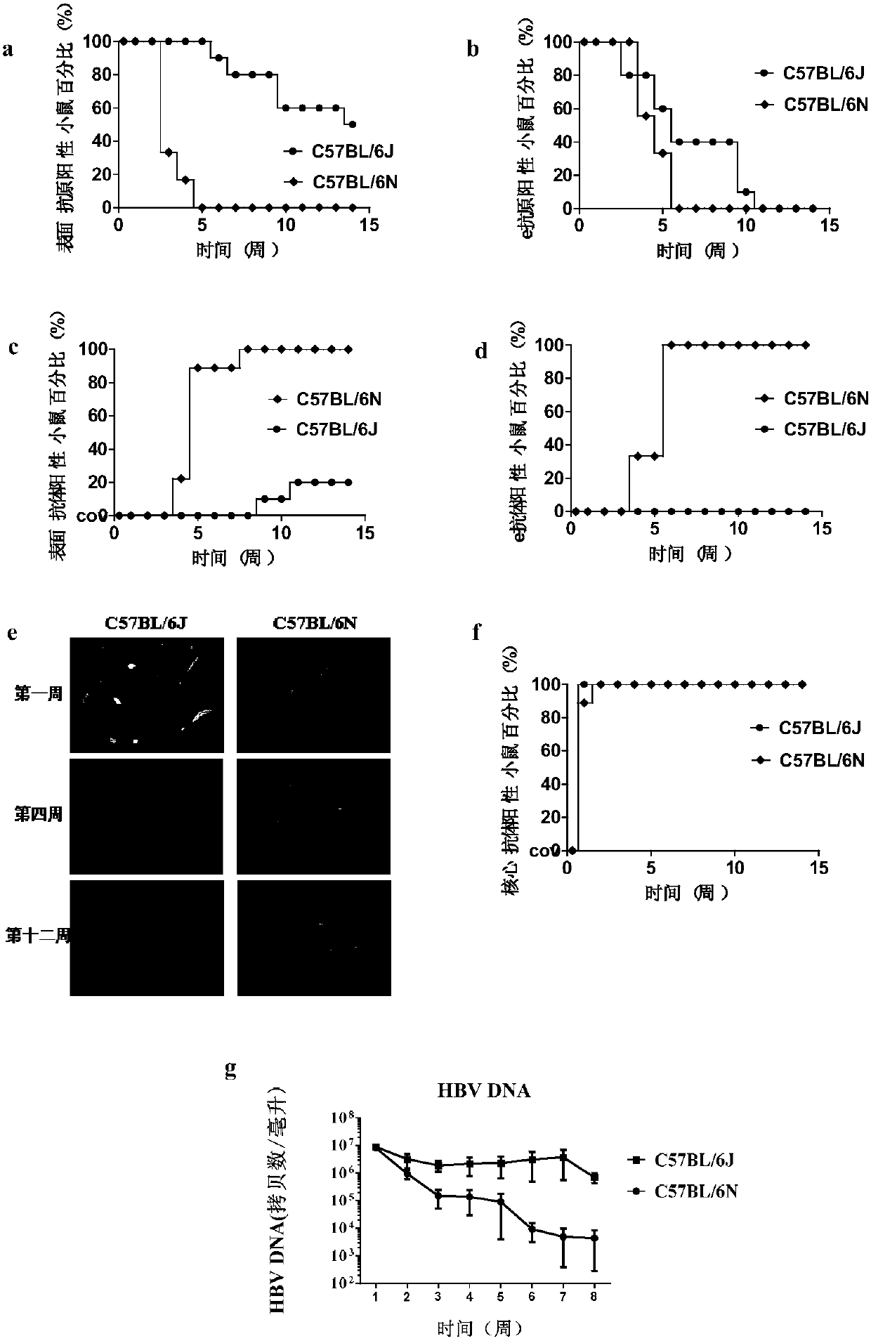 Application of substances capable of inhibiting activity of Treg cells and promoting differentiation of Tfh cells in treating HBV infection