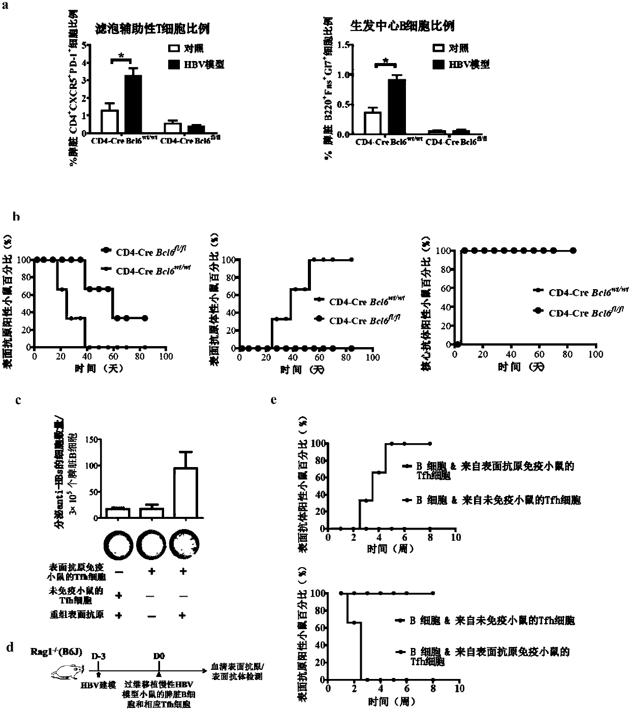 Application of substances capable of inhibiting activity of Treg cells and promoting differentiation of Tfh cells in treating HBV infection