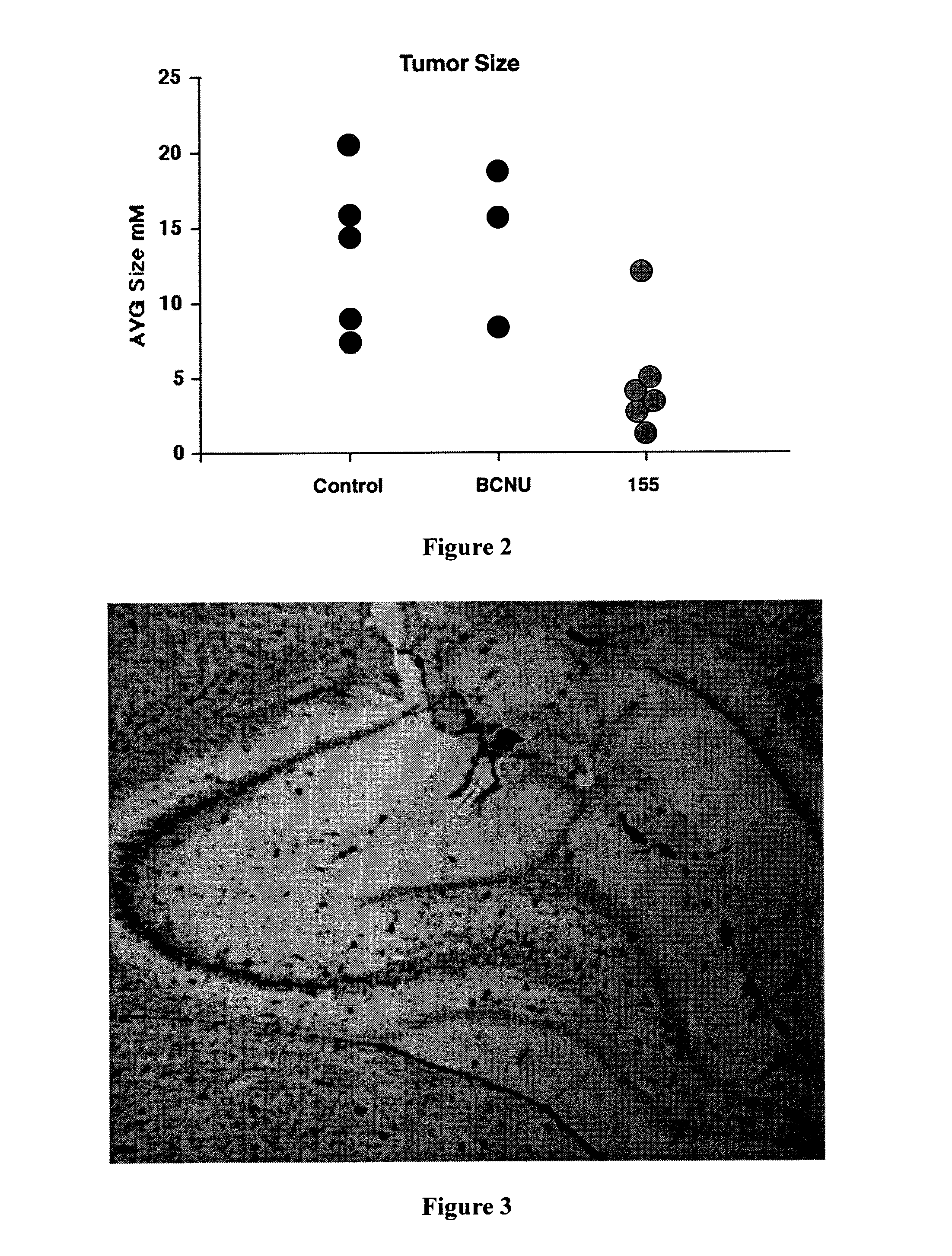 Substituted Tetrahydroisoquinoline Compounds for Cancer Therapy