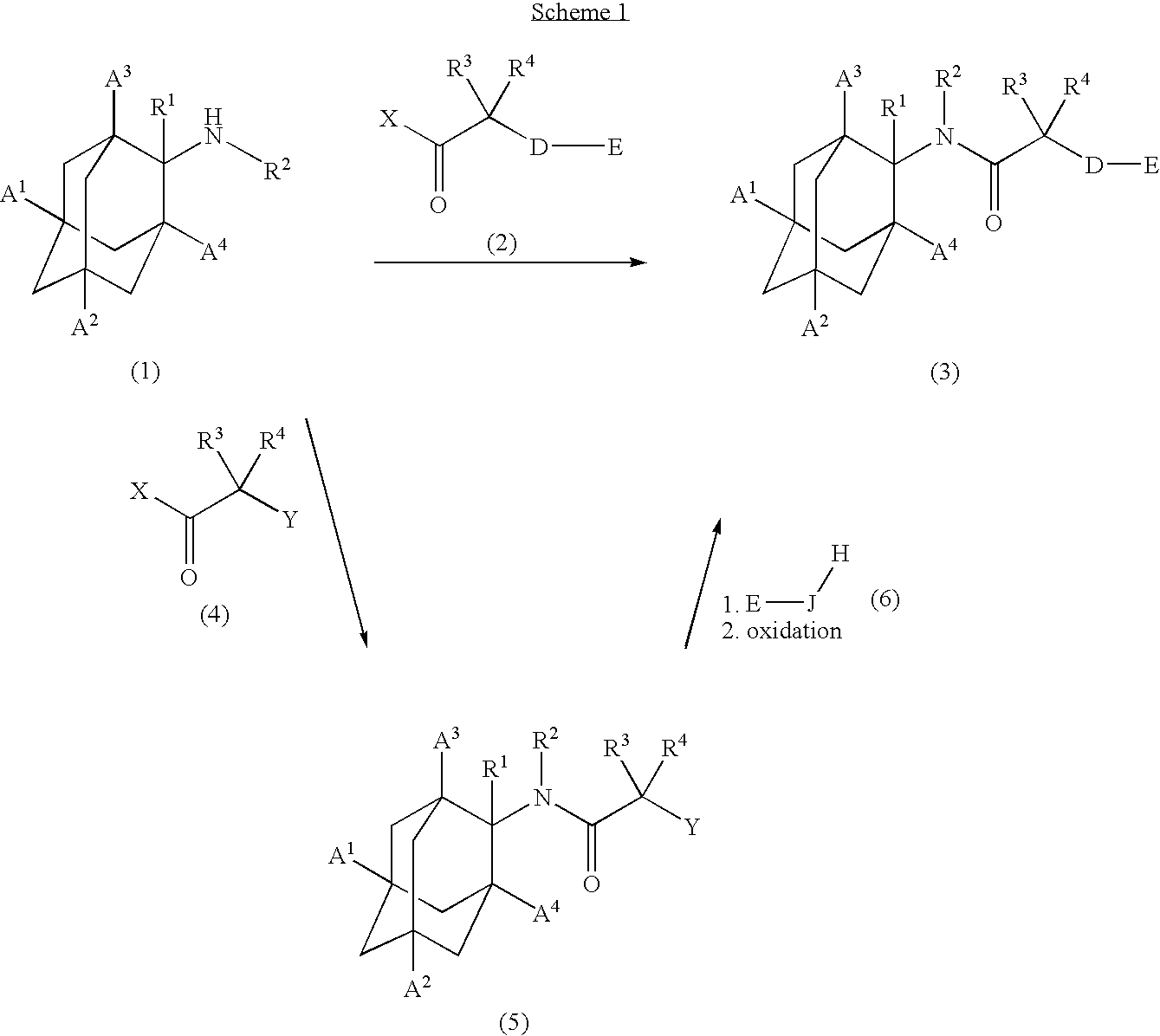 Inhibitors of the 11-beta-hydroxysteroid dehydrogenase type 1 enzyme