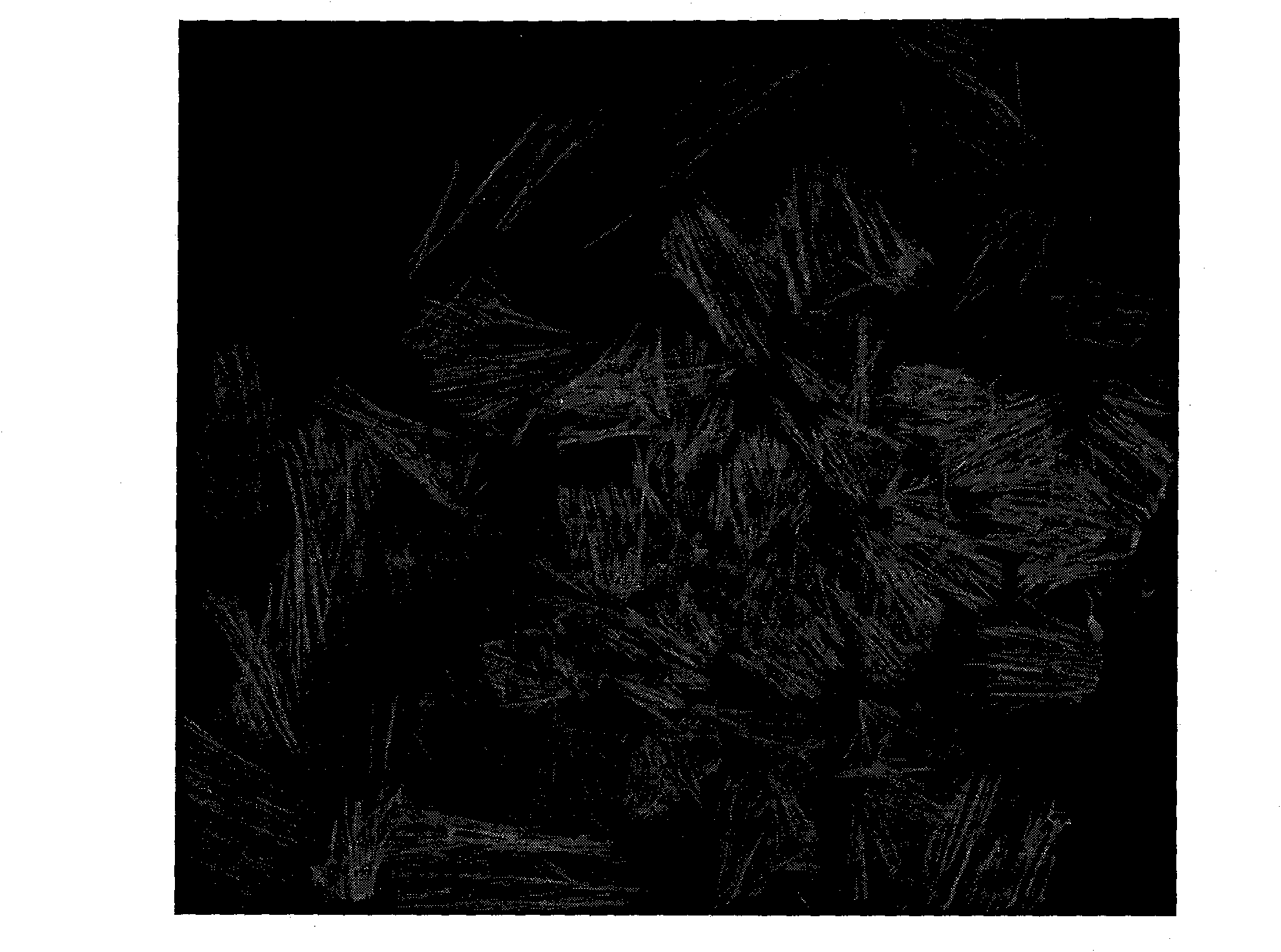 Method for culturing rat airway smooth muscle cells