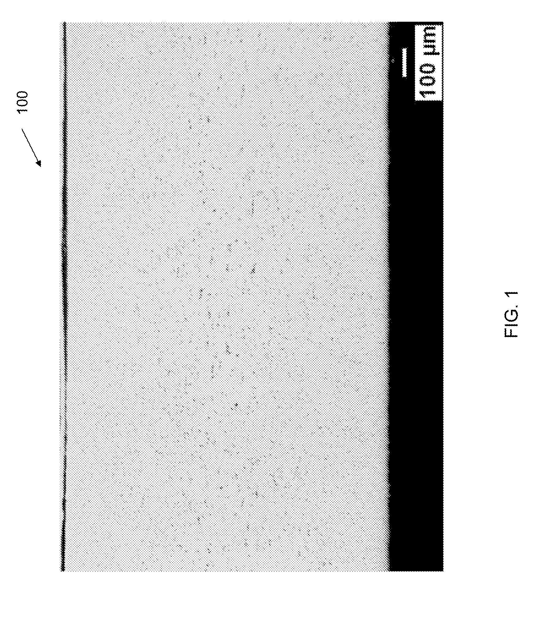 Corrosion resistant aluminum alloys having high amounts of magnesium and methods of making the same