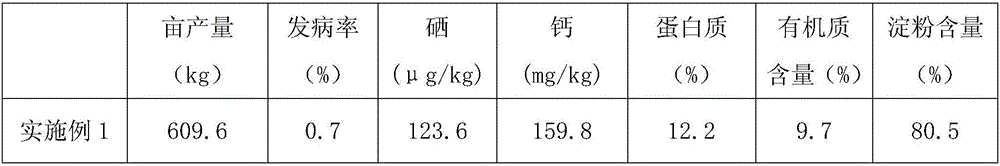 Selenium-enriched disease-resistant base fertilizer for rice and preparation method thereof