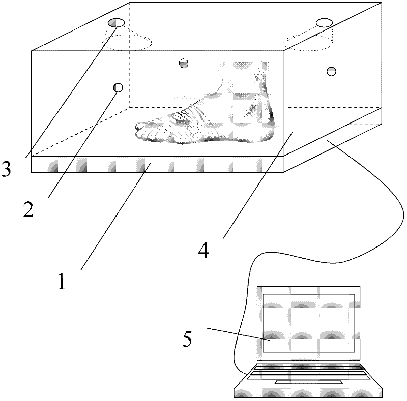 Foot type parameter measuring device and measuring method