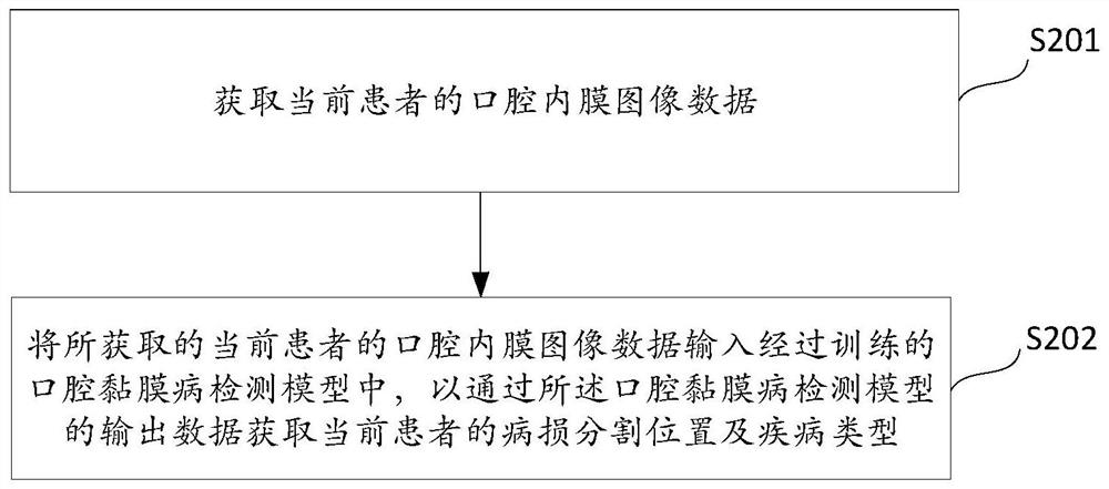Oral mucosal disease detection model construction and prediction method and device, terminal and medium