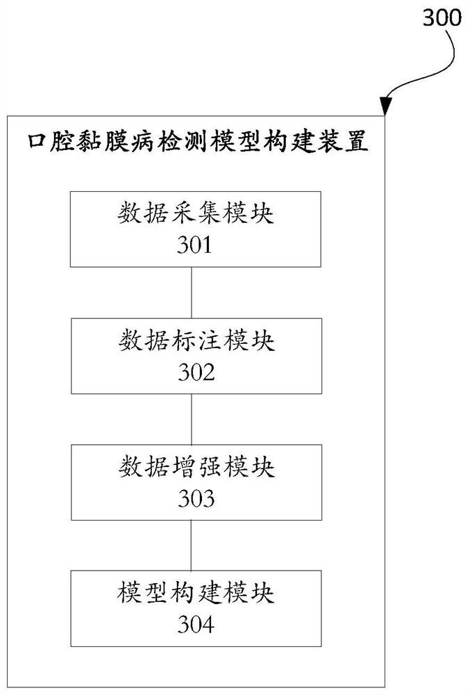 Oral mucosal disease detection model construction and prediction method and device, terminal and medium