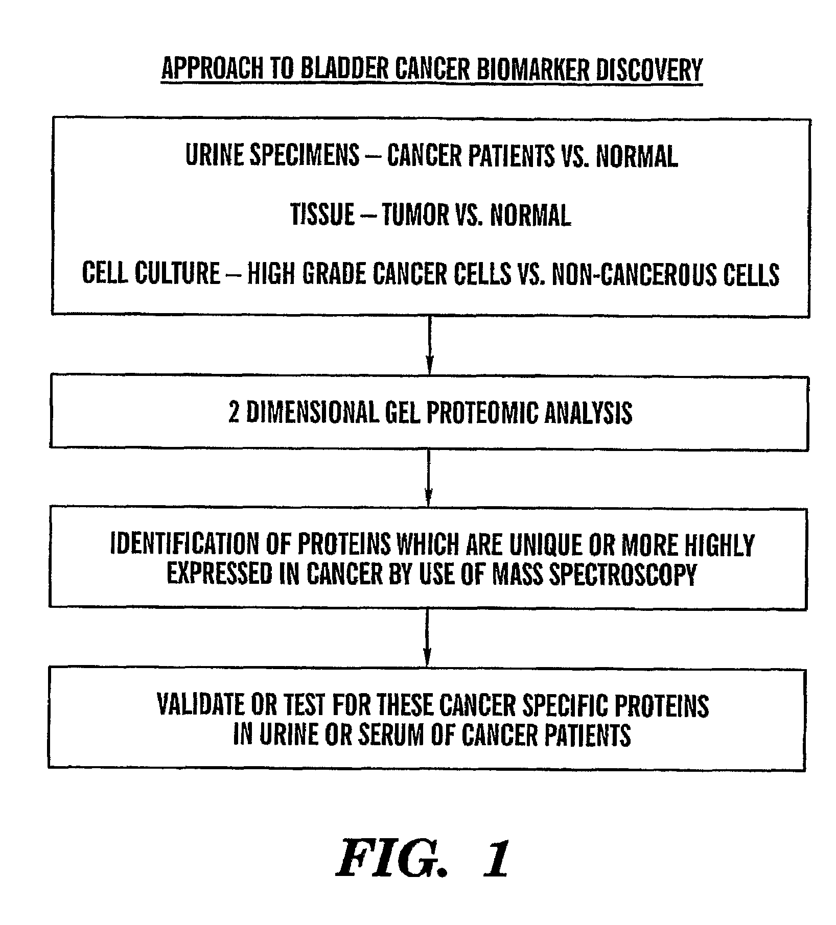 Method for diagnosis and prognosis of epithelial cancers
