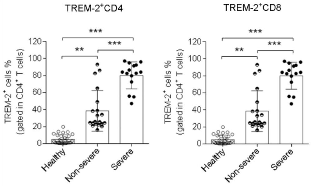 Application of myeloid cell triggering receptor 2 as a novel coronavirus pneumonia diagnosis or treatment target