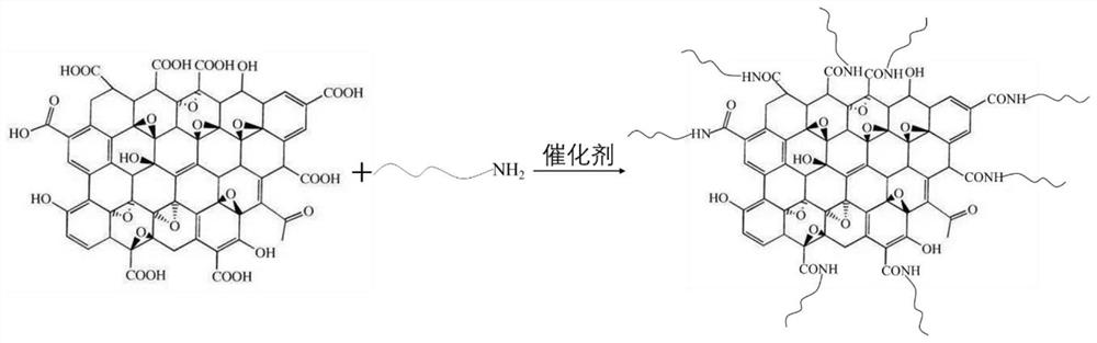 A kind of amidated graphene/nylon 6 nanocomposite material and preparation method thereof