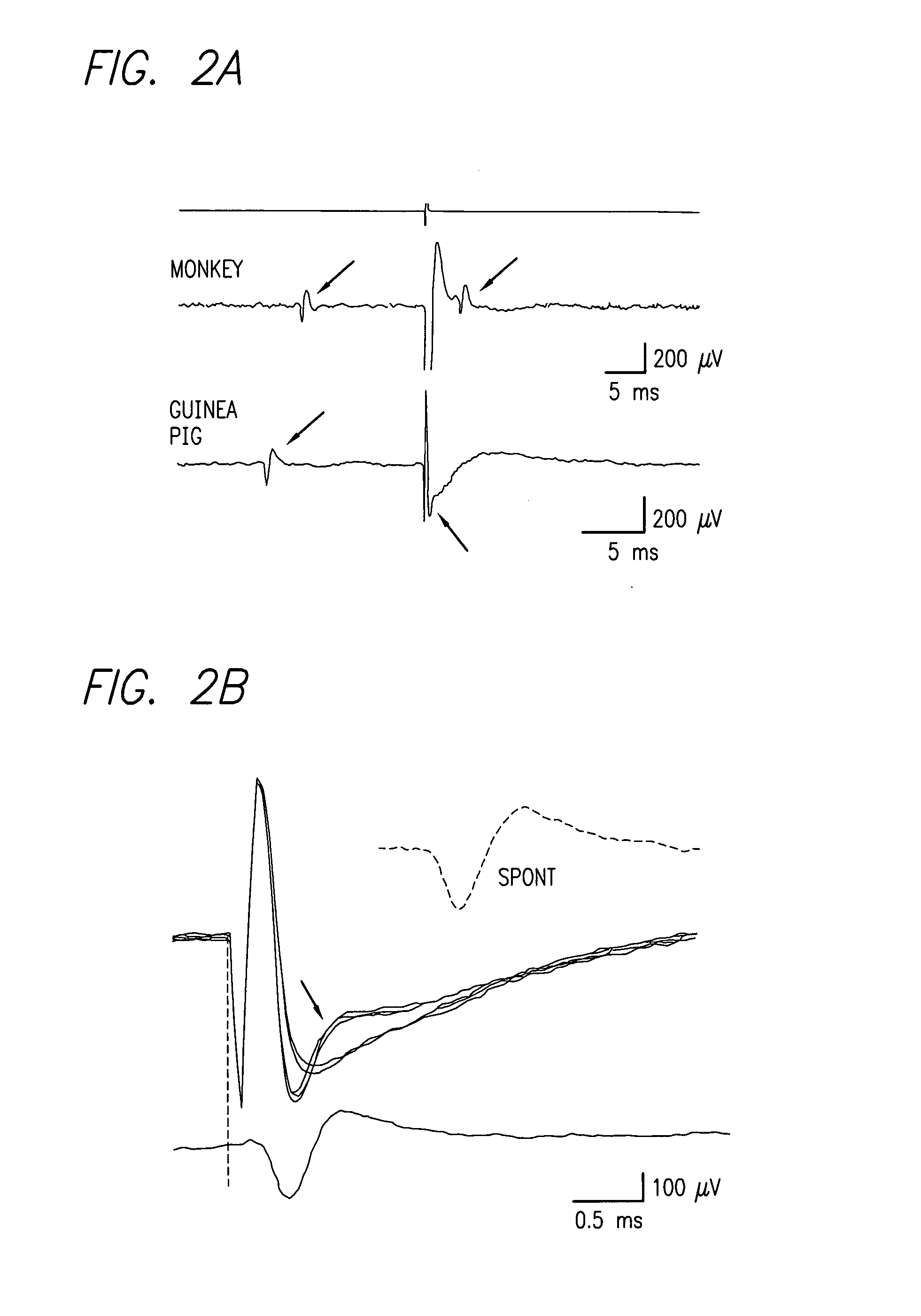 Method and apparatus for visual neural stimulation