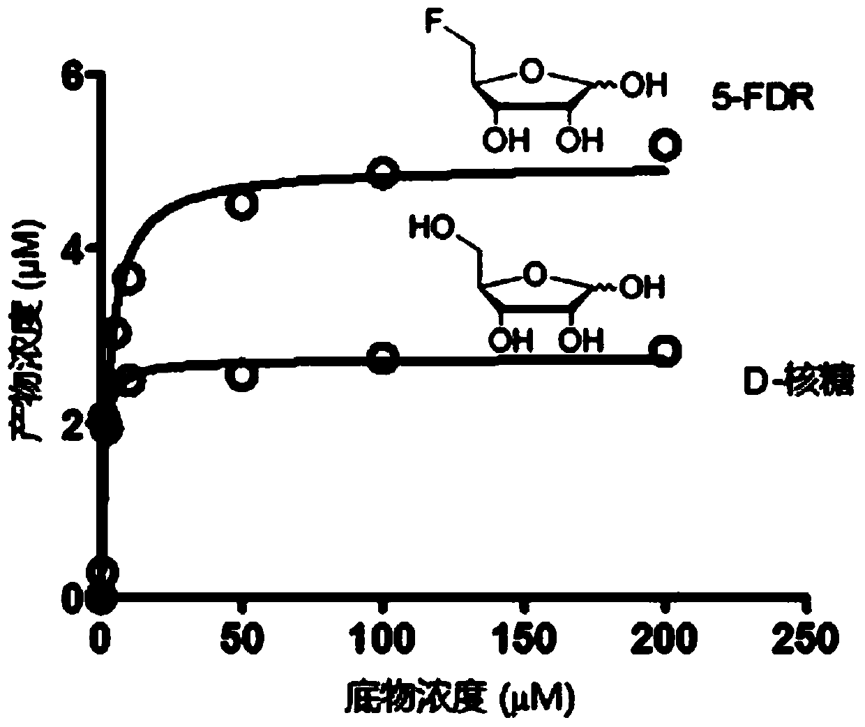 Short-chain dehydrogenase capable of hydrolyzing ribose and variety of fluorinated ribose