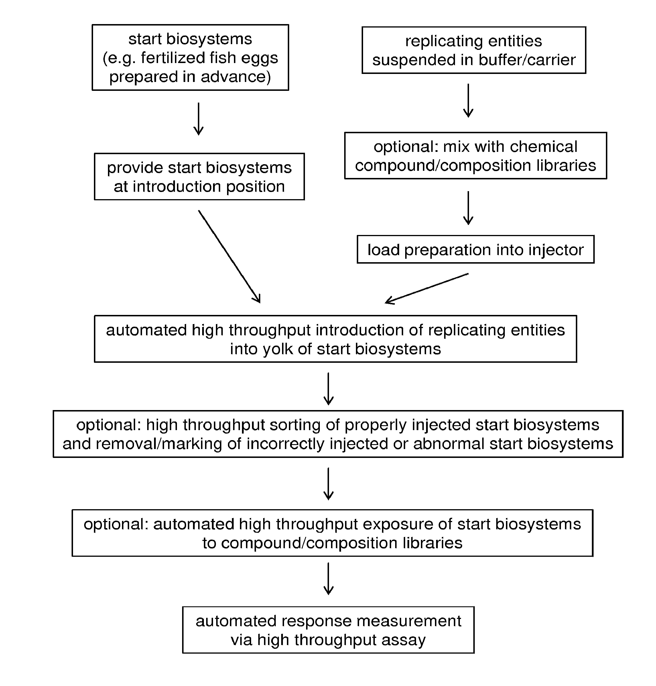 High throughput method and system for in vivo screening