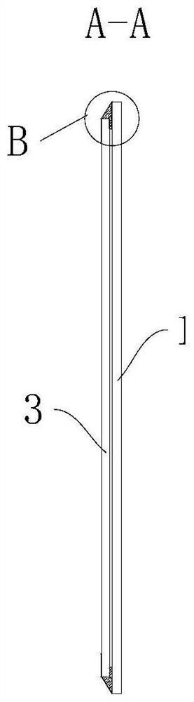 Display module, electronic device and method for manufacturing display module