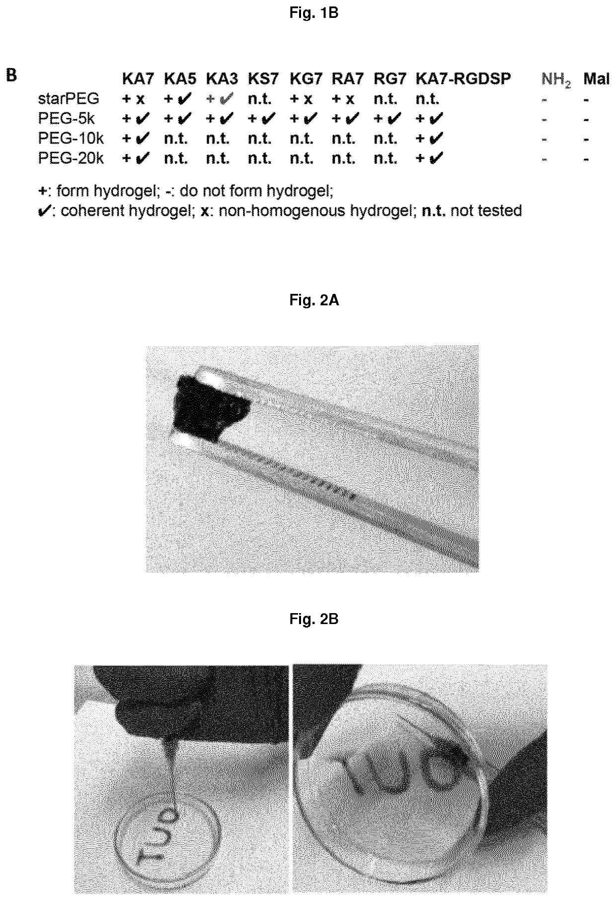 Non-covalently assembled conductive hydrogel