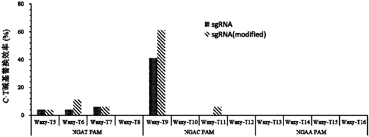 Application of VQRn-Cas9&PmCDA1&UGI base editing system in plant gene editing