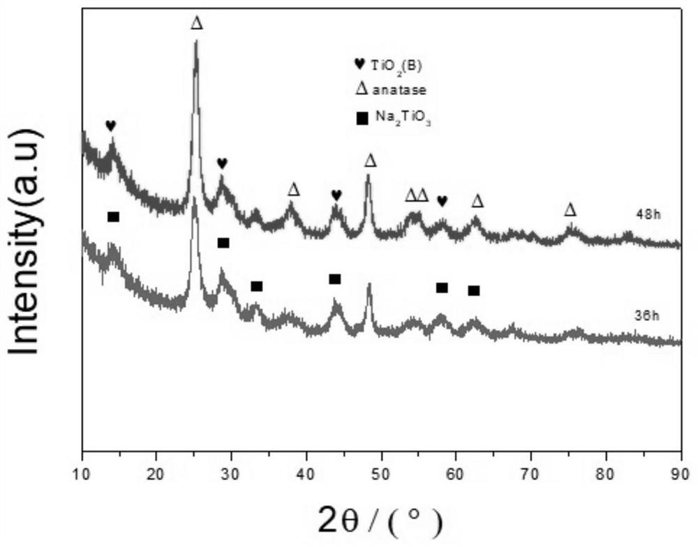 A kind of preparation method of platinum-modified titanium dioxide nanowire filter membrane