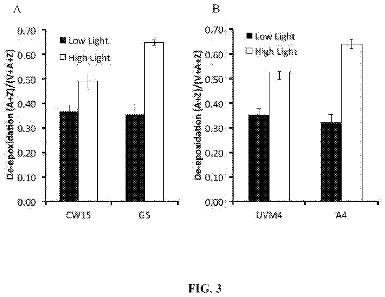 Productivity and Bioproduct Formation in Phototropin Knock/Out Mutants in Microalgae