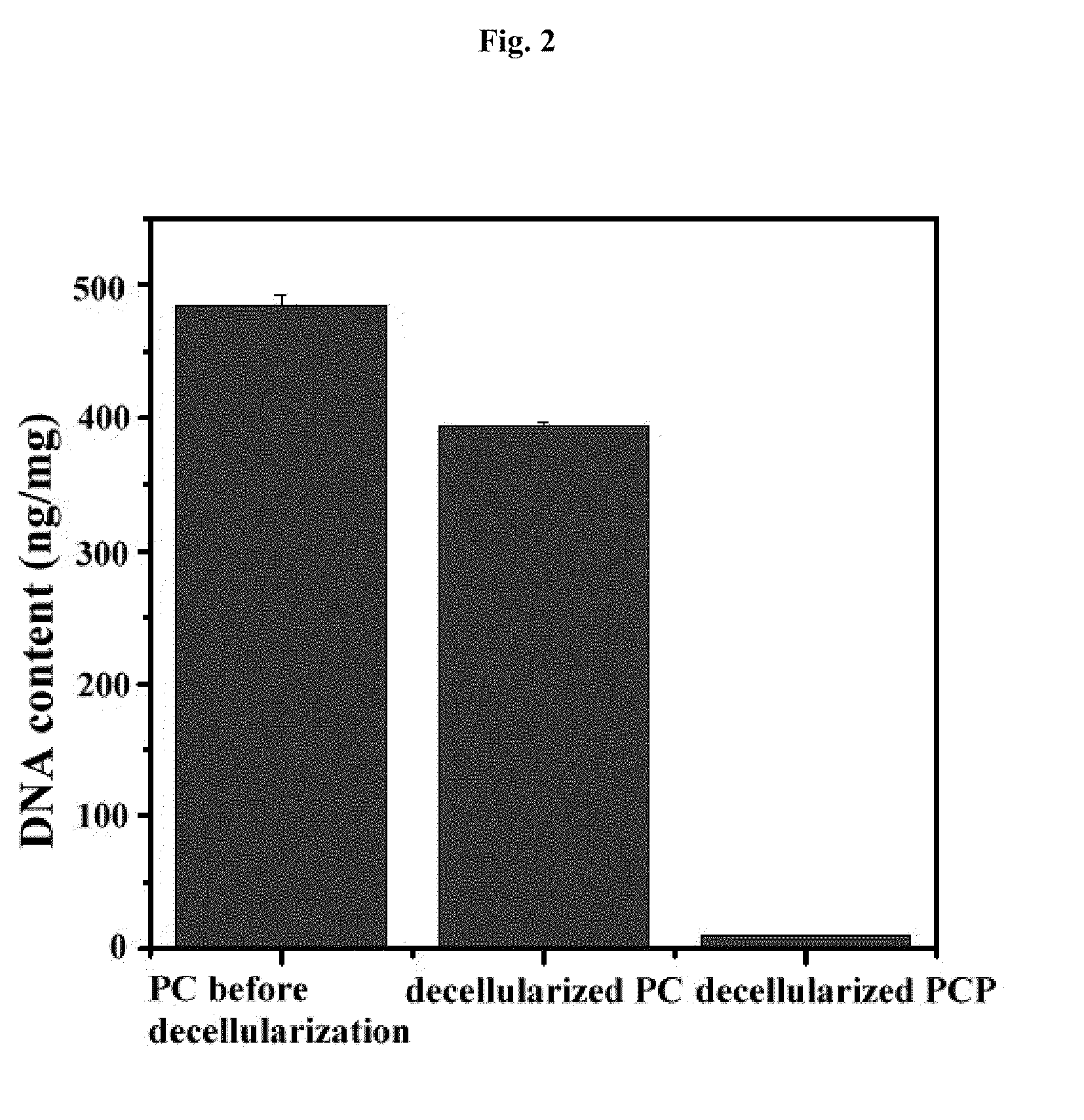 Method for manufacturing a porous three-dimensional scaffold using powder from animal tissue, and porous three-dimensional scaffold manufactured by same