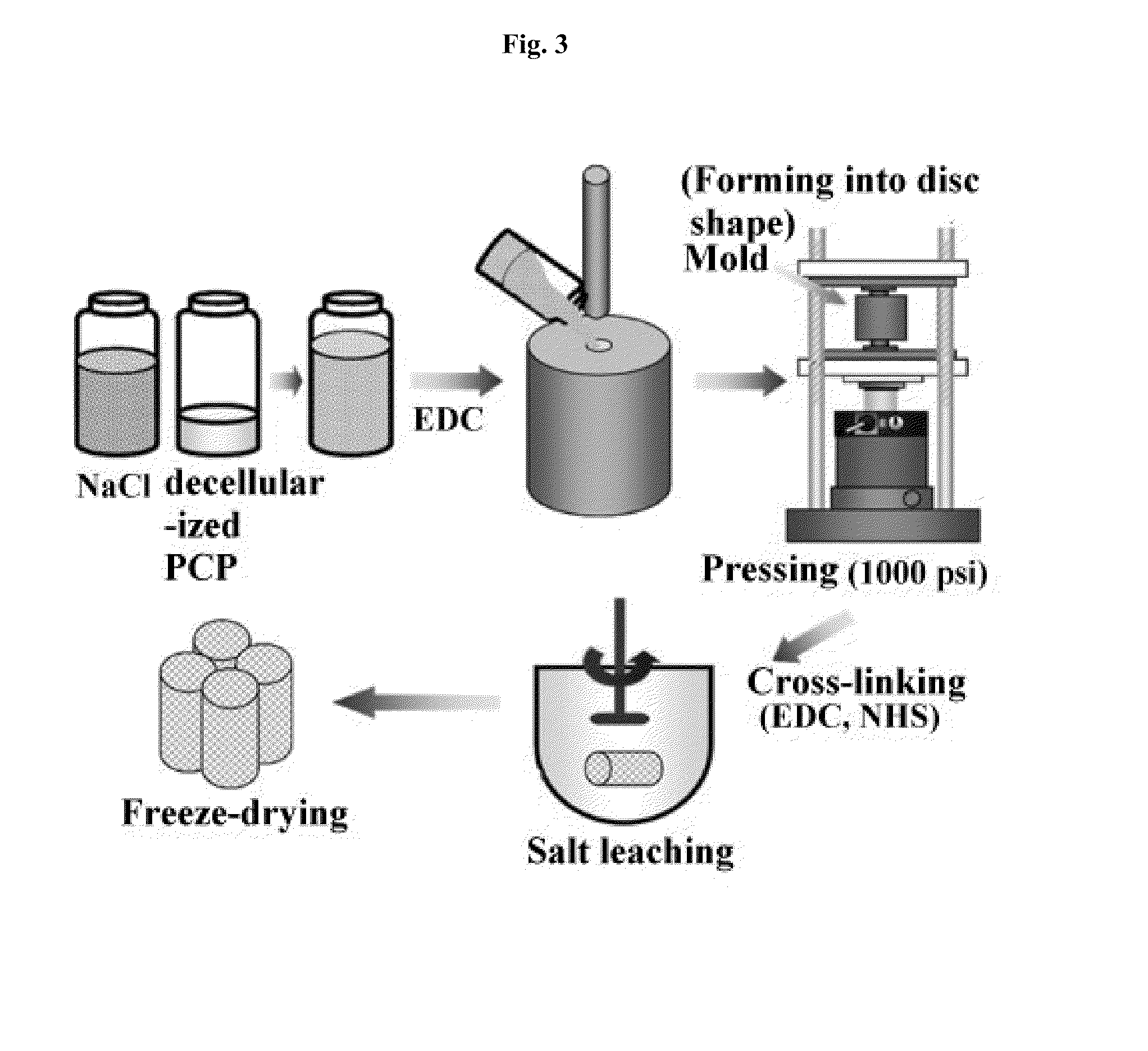 Method for manufacturing a porous three-dimensional scaffold using powder from animal tissue, and porous three-dimensional scaffold manufactured by same