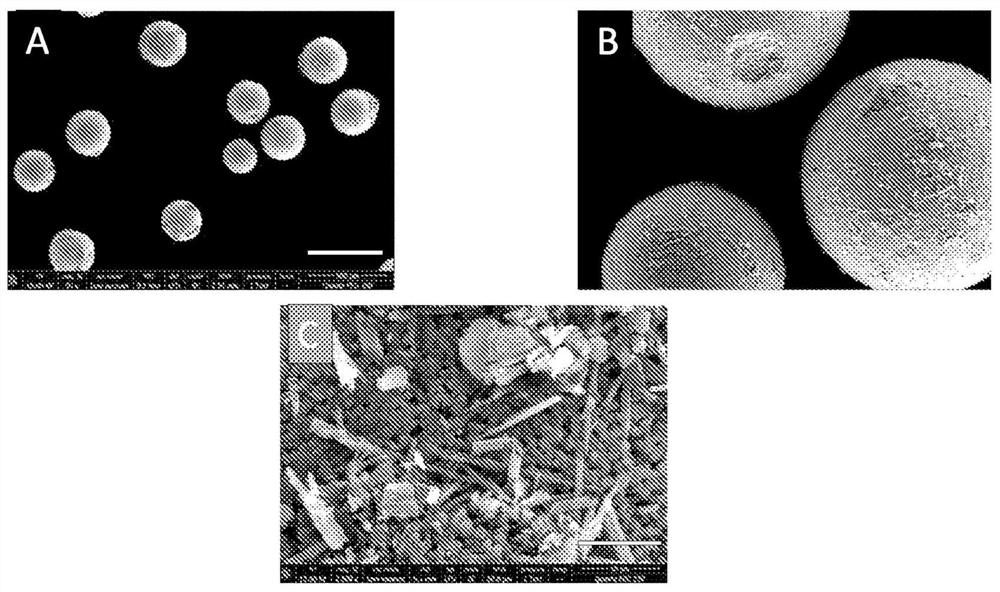 Porous embolization microspheres comprising drugs