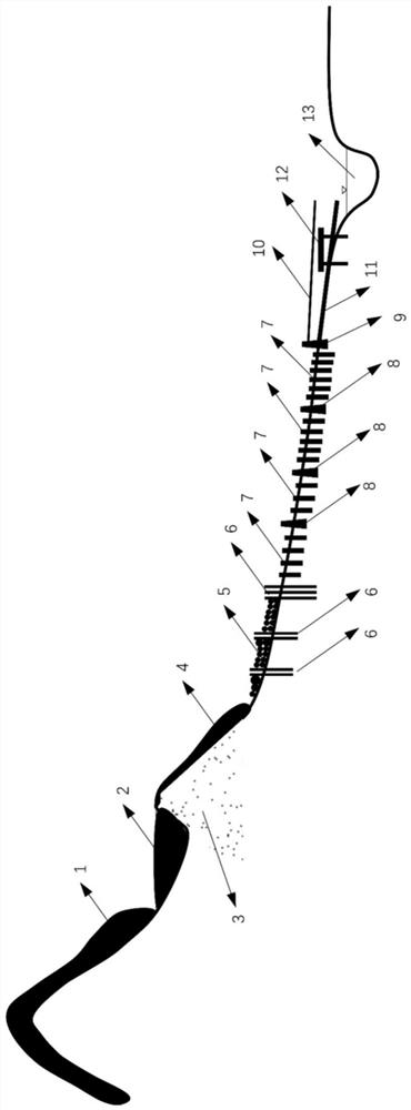 Method for preventing and controlling ice lake bursting type flood debris flow