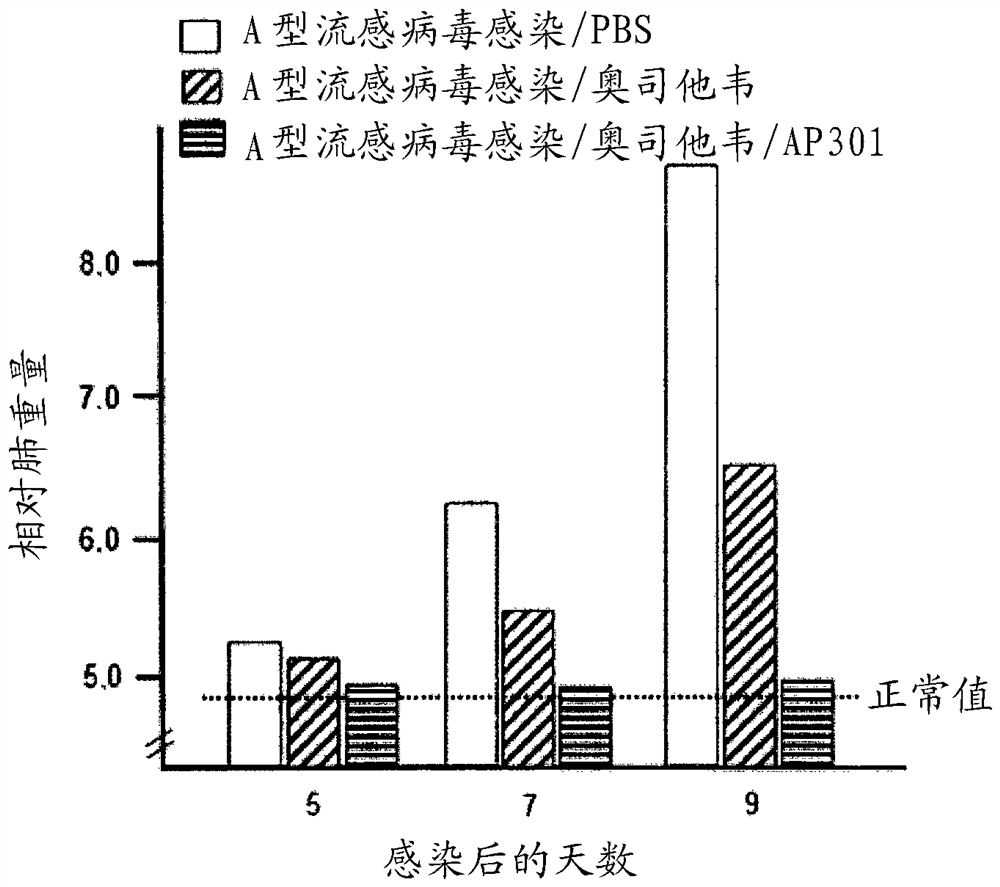 Composition comprising a peptide and an inhibitor of viral neuraminidase