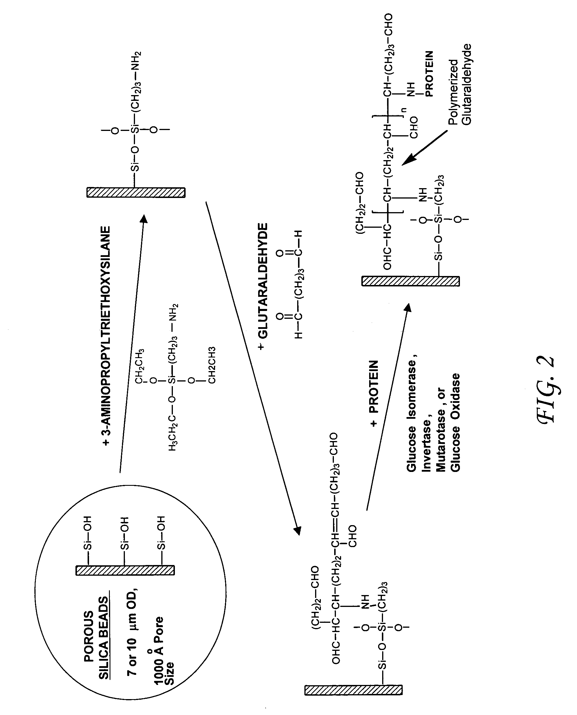 Enzymatic cascade bioreactor