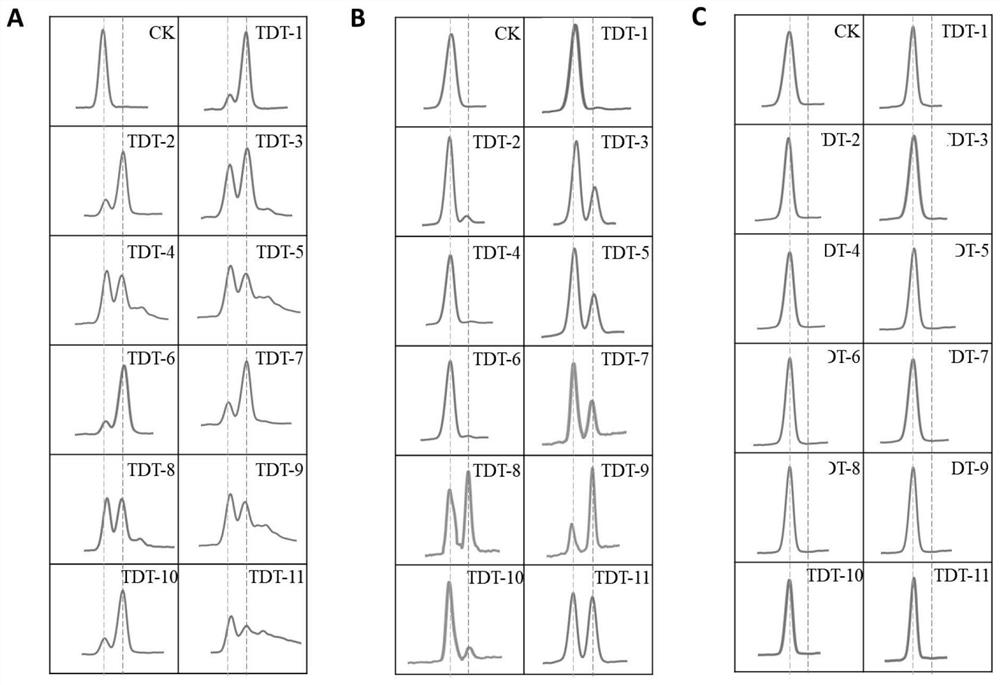 New functions and applications of nucleoside transferase