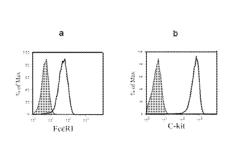 Application of signal-regulatory protein alpha (SIRPalpha) in preparation of medicines for preventing and treating allergic diseases