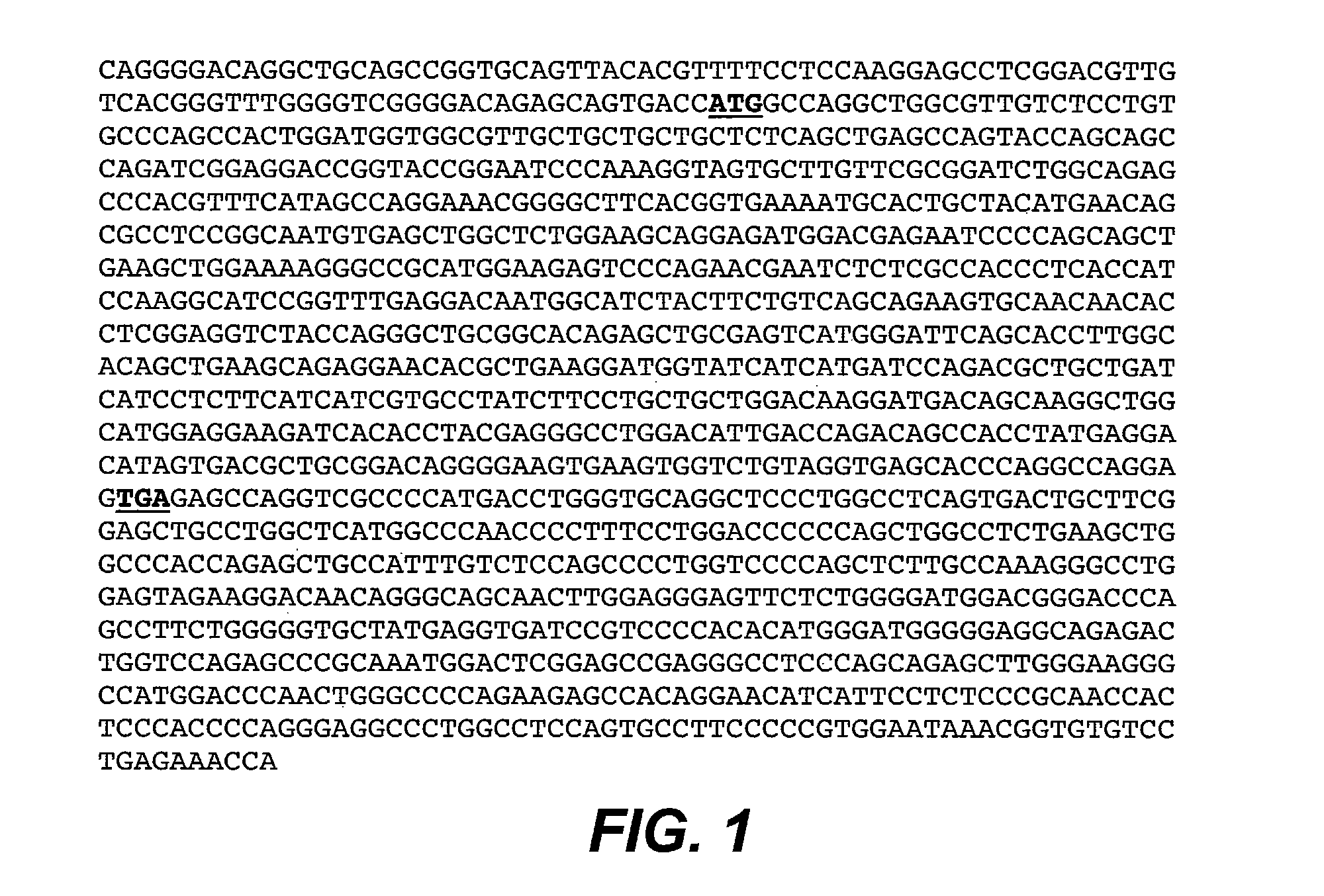 Anti-CD79B antibodies and immunoconjugates and methods of use